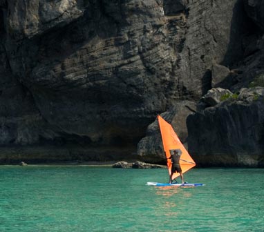 ACTIVE OFFERINGS ACTIVE OFFERINGS