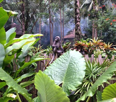 Flora & Fauna Flora & Fauna