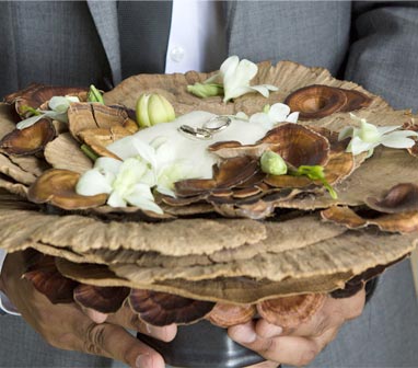 Same sex celebrations Same sex celebrations