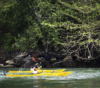 Sustainability Sustainability